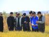 Mongolia, South Korea Conduct Successful Cold-Climate Rice Cultivation Trial