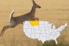 Montana Wildlife Officials Confirm More CWD Cases 2025