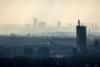 Scientists reveal the impact of air pollution on the human body