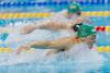 Chad le Clos returns to competitive swimming at SA national championships