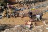 Blood minerals and resource curse: The case of Sudan and the DRC
