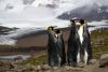 Guide To Salisbury Plain South Georgia (2025)