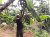 Food Insecurity Rising in Africa, Falling in Latin America and Caribbean