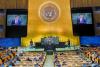 Foreign minister meets with allies in NY