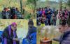 “Angola’s biodiversity destroyed before our eyes”: Bishop on Massive Deforestation, Poaching near Border with Zambia