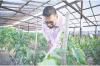 Guyana stands ready to share experience, partner with others to advance global food systems –President Ali tells UN
