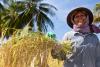 Agri startups from Southeast Asia to pitch climate-smart solutions at SAFE Impact Showcase