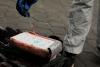 Record Cocaine Bust in Russia Highlights New Trafficking Route From Ecuador