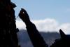 Bolivia’s lightning-struck ‘miracle tree’ thrives