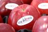 Moldovan apples reach Icelandic market for first time