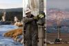 From shale to steam: Fossil fuel technology boosts clean geothermal energy