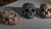 Million-Year-Old Skull Pushes Back Homo Sapiens' Origins By 400,000 Years