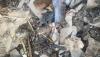 Drone fragment found in Estonian nature reserve