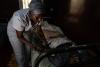 Journey to the heart of kush, the drug devastating West Africa