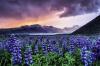 Landmark new digital travel series on sustainable tourism unveiled