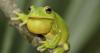 ECOVIEWS: Environmental education talks can offer surprises