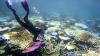 Earth fails another critical health check, but scientists say it's not too late