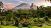 Our nature-packed family road trip in Costa Rica — sloths included