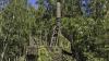 ERA and Airbus: Czech technology strengthens European Air Defense
