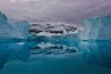 Science The Cool Down Researchers issue warning after uncovering 'concerning' pattern among wildlife: 'The clock is ticking'