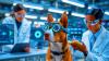 “Scientists Put Spy Glasses On Dogs”: Austrian Lab Discovers Dogs Need Both Pointing And Staring To Find Hidden Treats