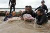 Mercury pollution threatens pink river dolphins