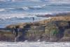 Michael Smolens: California continues pursuit to harness elusive wave energy