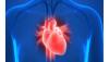 Imbibing good lifestyle habits right from childhood key to preventing Heart Diseases