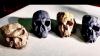 Science The Brighter Side of News Million-year-old skull discovery rewrites the story of human evolution