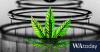Why the growth in cannabis products has got fertility experts worried