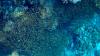 Science The Cool Down Scientists astounded after being visited by thriving creatures deep below the ocean: 'This gives us a crucial reference point'