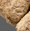 Science National Geographic This is the oldest blue pigment ever discovered in Europe