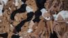 Textile-to-textile Recycled Tights? Calzedonia Now Has the Tech