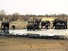 Namibia deploys army to fight fire in one of Africa’s largest reserves