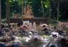 Costa Rica’s Tourism Adapts to Demands for Authentic Experiences