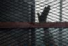 Iran hangs ‘one of most important spies’ for Israel amid wave of executions