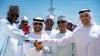 UAE firm provides electricity to homes in Chad
