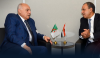 Egypt and Algeria: Simultaneous Libyan elections and a complete withdrawal of foreign forces