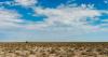 Namibia sends in army to fight devastating wildfire in Etosha game reserve