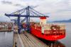 EU clears Brazilian poultry post avian influenza outbreak