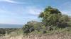Estrella greenlights limestone drilling program in Timor-Leste