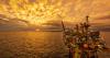 From Discoveries to Development: Strategic Growth in Africa’s Oil and Gas Basins