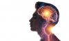 Scientists discover autism may be a natural part of human evolution