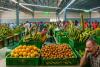 CARIBBEAN SET TO BECOME AFRICA’S FOOD SURPLUS MARKET