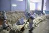 World Bank Recommends Bold Reforms to Restart Pakistan’s Poverty Reduction Efforts