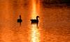 Science dpa international The Earth reflecting less and less sunlight, study reveals