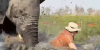 British tourists trampled by elephant in Botswana as huge beast flips boat in crocodile-filled river