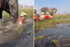Tourist cheats death as elephant tips canoe, sinks her in murky water in Botswana