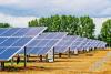 Cameroon’s Sodecoton Shortlists EDF, CFAO, Energy Arno for Solar Plant Bid