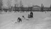 Environmental History and the Work of Truth and Reconciliation